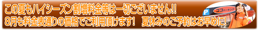Cプラン手洗い洗車無料サービスキャンペーン
