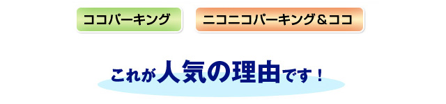 これが人気の理由です